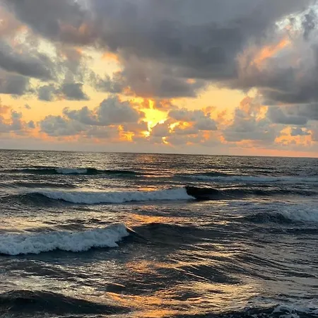 كابيتول 3* بيزا